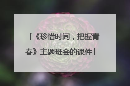 《珍惜时间，把握青春》主题班会的课件