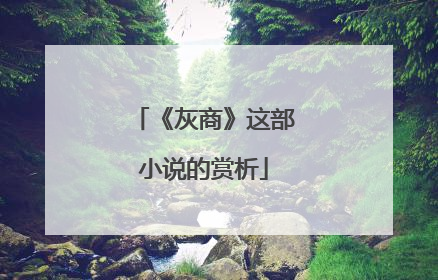 《灰商》这部小说的赏析