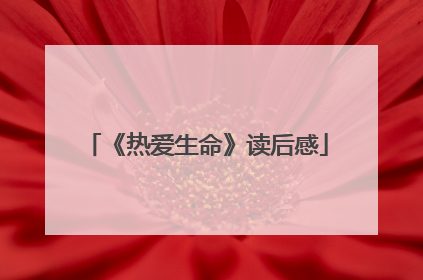 《热爱生命》读后感