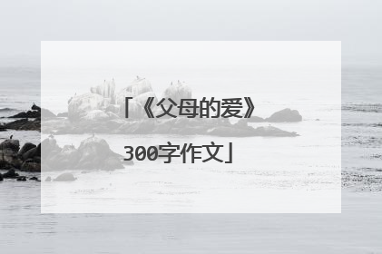 《父母的爱》300字作文