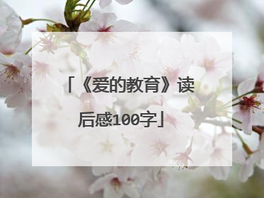 《爱的教育》读后感100字