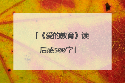 《爱的教育》读后感500字