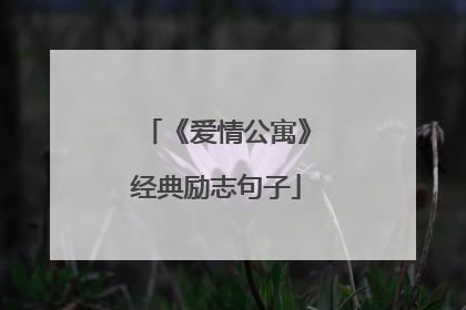 《爱情公寓》经典励志句子
