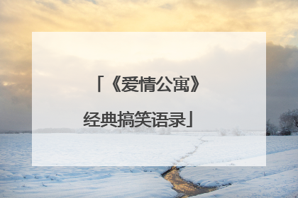 《爱情公寓》经典搞笑语录