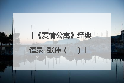 《爱情公寓》经典语录 张伟(一)