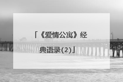 《爱情公寓》经典语录(2)