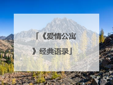 《爱情公寓》经典语录