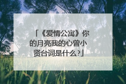 《爱情公寓》你的月亮我的心曾小贤台词是什么?