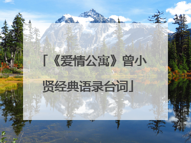 《爱情公寓》曾小贤经典语录台词