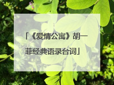 《爱情公寓》胡一菲经典语录台词
