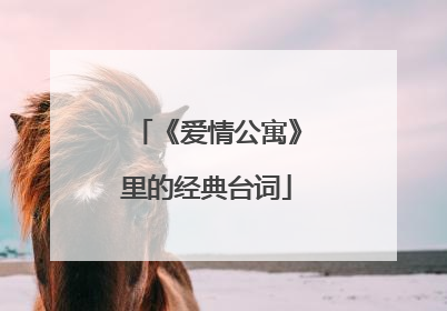 《爱情公寓》里的经典台词