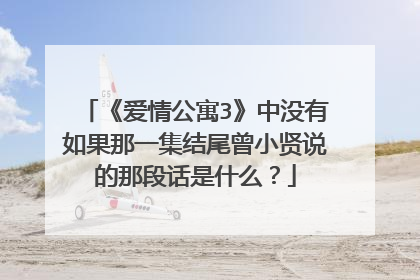 《爱情公寓3》中没有如果那一集结尾曾小贤说的那段话是什么?