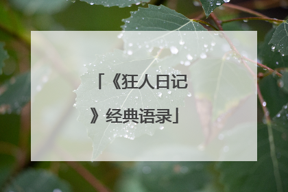 《狂人日记》经典语录