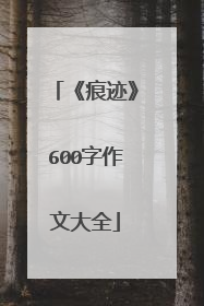 《痕迹》600字作文大全