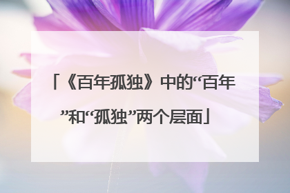 《百年孤独》中的“百年”和“孤独”两个层面