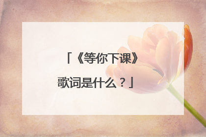 《等你下课》歌词是什么?