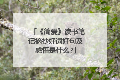 《简爱》读书笔记摘抄好词好句及感悟是什么?