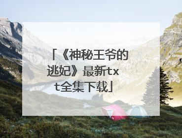 《神秘王爷的逃妃》最新txt全集下载