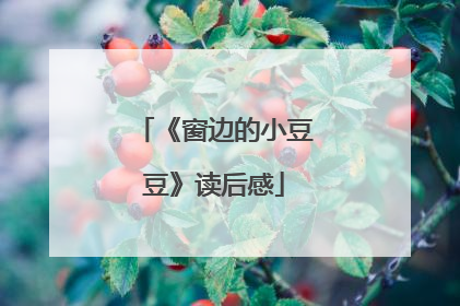 《窗边的小豆豆》读后感