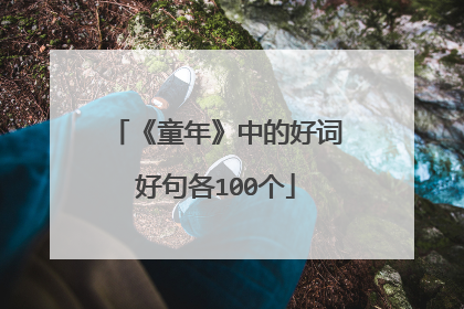 《童年》中的好词好句各100个