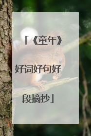 《童年》好词好句好段摘抄