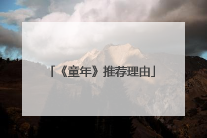 《童年》推荐理由