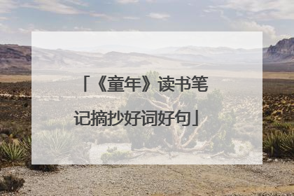 《童年》读书笔记摘抄好词好句
