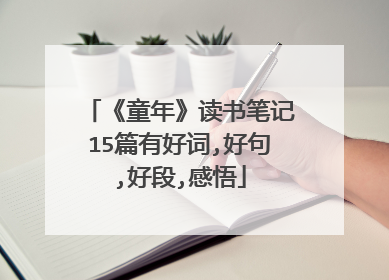 《童年》读书笔记15篇有好词,好句,好段,感悟
