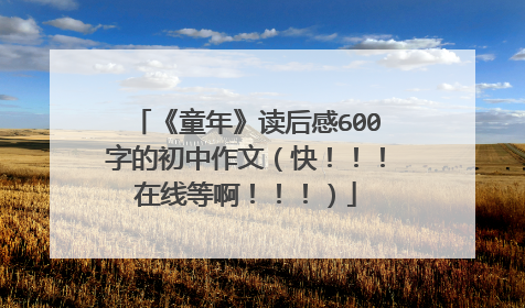 《童年》读后感600字的初中作文(快!!!在线等啊!!!)