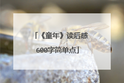 《童年》读后感600字简单点