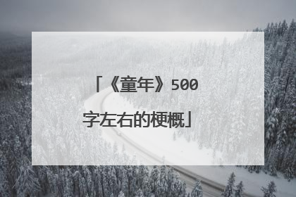 《童年》500字左右的梗概