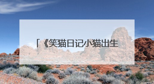 《笑猫日记小猫出生在秘密山洞》pdf下载在线阅读全文，求百度网盘云资源