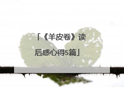 《羊皮卷》读后感心得5篇