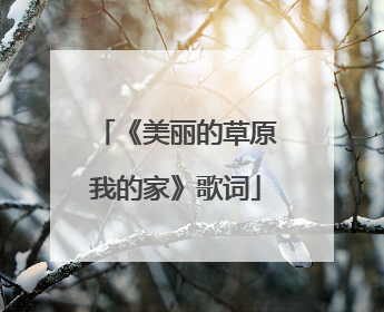 《美丽的草原我的家》歌词