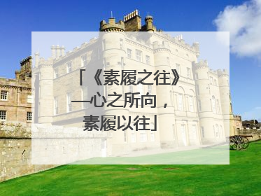 《素履之往》——心之所向,素履以往