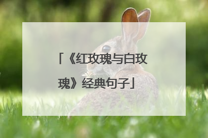 《红玫瑰与白玫瑰》经典句子