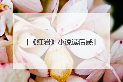 《红岩》小说读后感