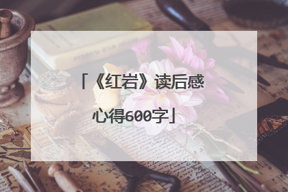 《红岩》读后感心得600字