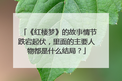 《红楼梦》的故事情节跌宕起伏，里面的主要人物都是什么结局？
