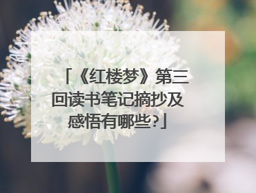 《红楼梦》第三回读书笔记摘抄及感悟有哪些?