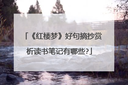 《红楼梦》好句摘抄赏析读书笔记有哪些?