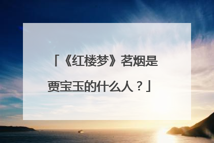 《红楼梦》茗烟是贾宝玉的什么人？