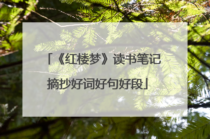 《红楼梦》读书笔记摘抄好词好句好段