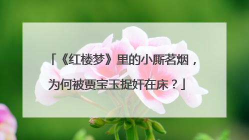 《红楼梦》里的小厮茗烟，为何被贾宝玉捉奸在床？
