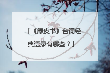 《绿皮书》台词经典语录有哪些？