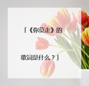 《你莫走》的歌词是什么?