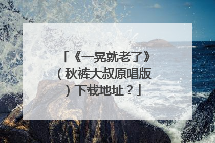 《一晃就老了》（秋裤大叔原唱版）下载地址？