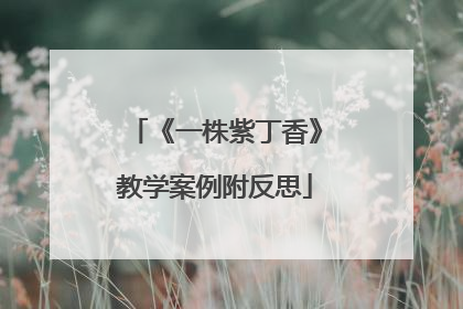 《一株紫丁香》教学案例附反思