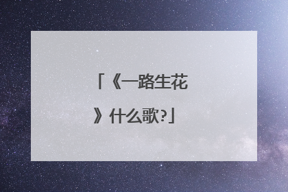 《一路生花》什么歌?