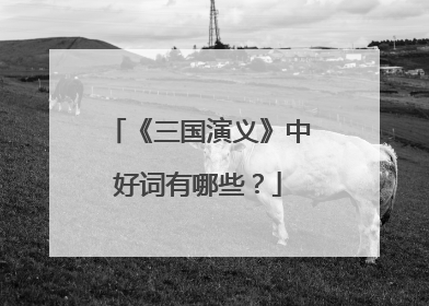 《三国演义》中好词有哪些?